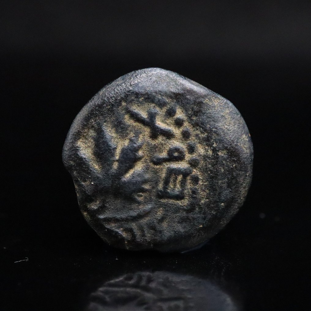 Αρχαία Ιουδαία Μπρούντζος Πρώτη Ιουδαϊκή Εξέγερση πρωτούα  (χωρίς τιμή ασφαλείας) #1.0