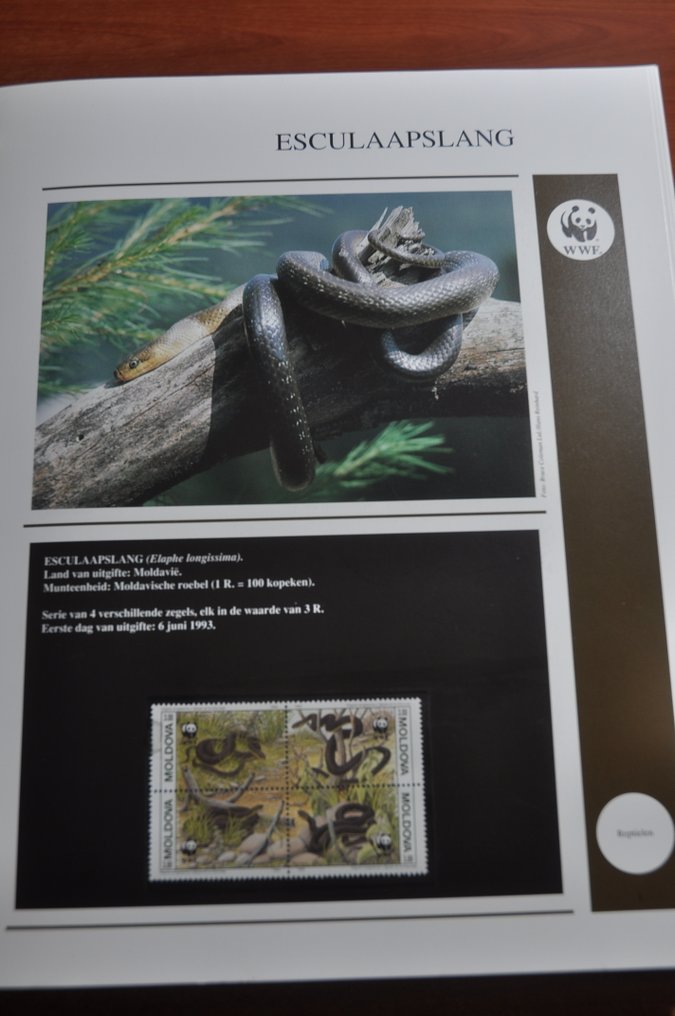 WWF  - Περιγραφόμενη συλλογή από μεταχειρισμένες σειρές και εξώφυλλα σε 2 ειδικά άλμπουμ WWF με κασέτες. #1.0