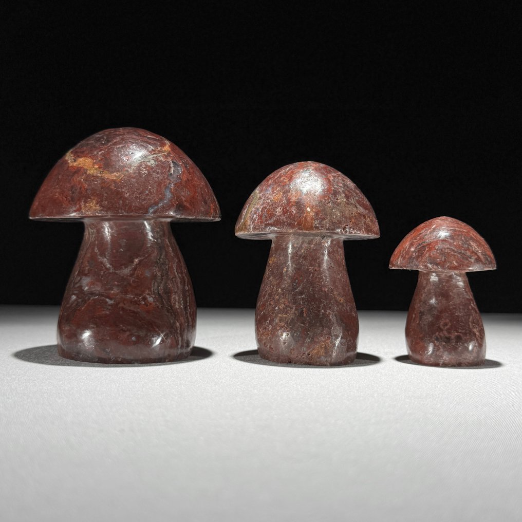 Inget utropspris - Underbart set med 3 Red Jasper Svampformad- 1300 g #1.0