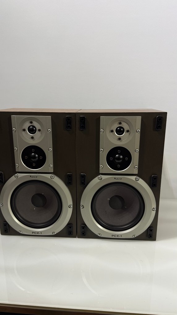 HICO - PCX-1 Hifi 复古制造，德国 喇叭組 #3.2