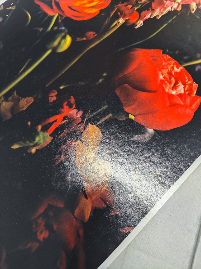 Viet Ha Tran - Secret whisper #3.2