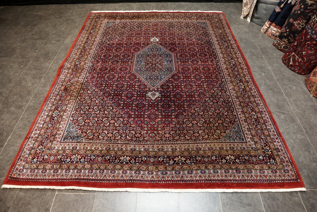 Tabriz - Carpet - 300 cm - 250 cm - cleaned #1.0