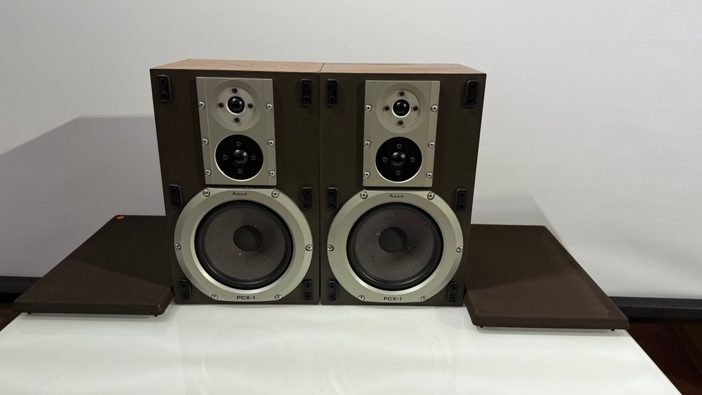 HICO - PCX-1 Hifi 复古制造，德国 喇叭組 #4.3