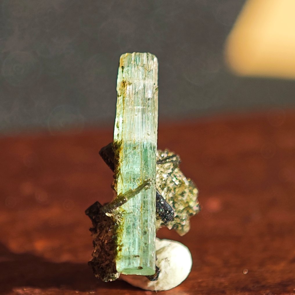 0.95 克拉 TOP DT 终切祖母绿 水晶在矩阵上！ - 高度: 11 mm - 宽度: 7.1 mm- 0.19 g #1.0