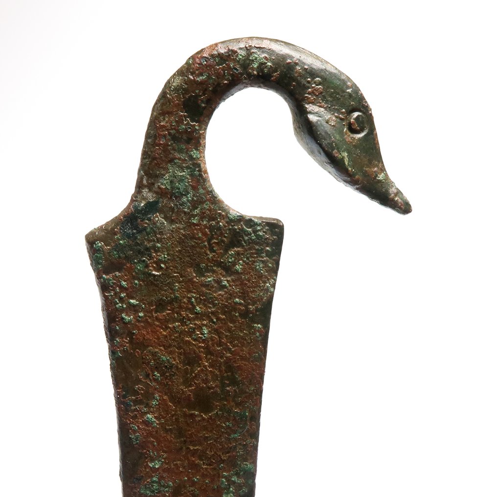 Etrusca Bronze Alça com terminação de cabeça de pato (Sem preço de reserva) #3.2