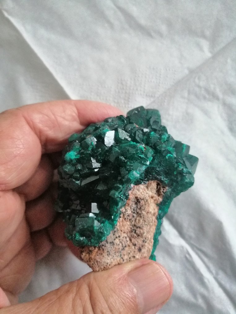 Dioptase 矩陣晶體 - 高度: 7.2 cm - 闊度: 5 cm- 156.8 g #4.3