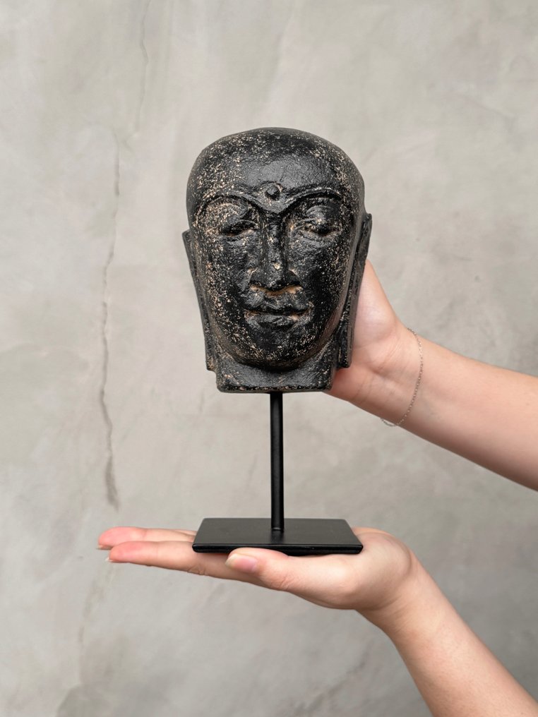 Statua, NO RESERVE PRICE - Stunning Lava Stone Buddha Head on a custom stand - 23 cm - Lava Stone - 2025 #2.1