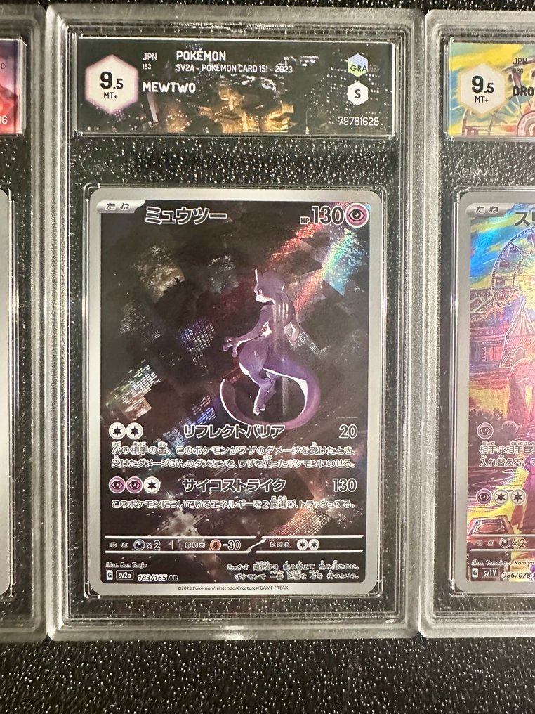 Pokémon - 3 Graded card - Mewtwo, Drowzee, Groudon 壓膜 - Graad 9.5 - Scarlet & Violet - SV2a - RAGING SURF #2.1