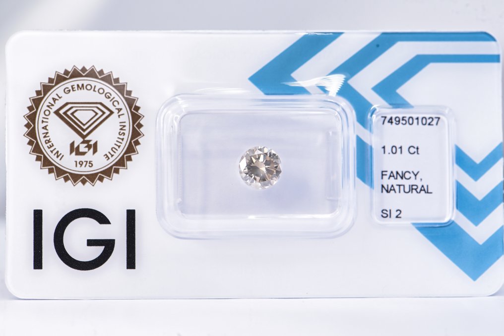 没有保留价 - 1 pcs 钻石  (天然色彩的)  - 1.01 ct - 圆形 - Fancy 稍帶棕色的, 稍帶灰色的 黄色 - SI2 微内含二级 - 国际宝石研究院（IGI） - VG #1.0