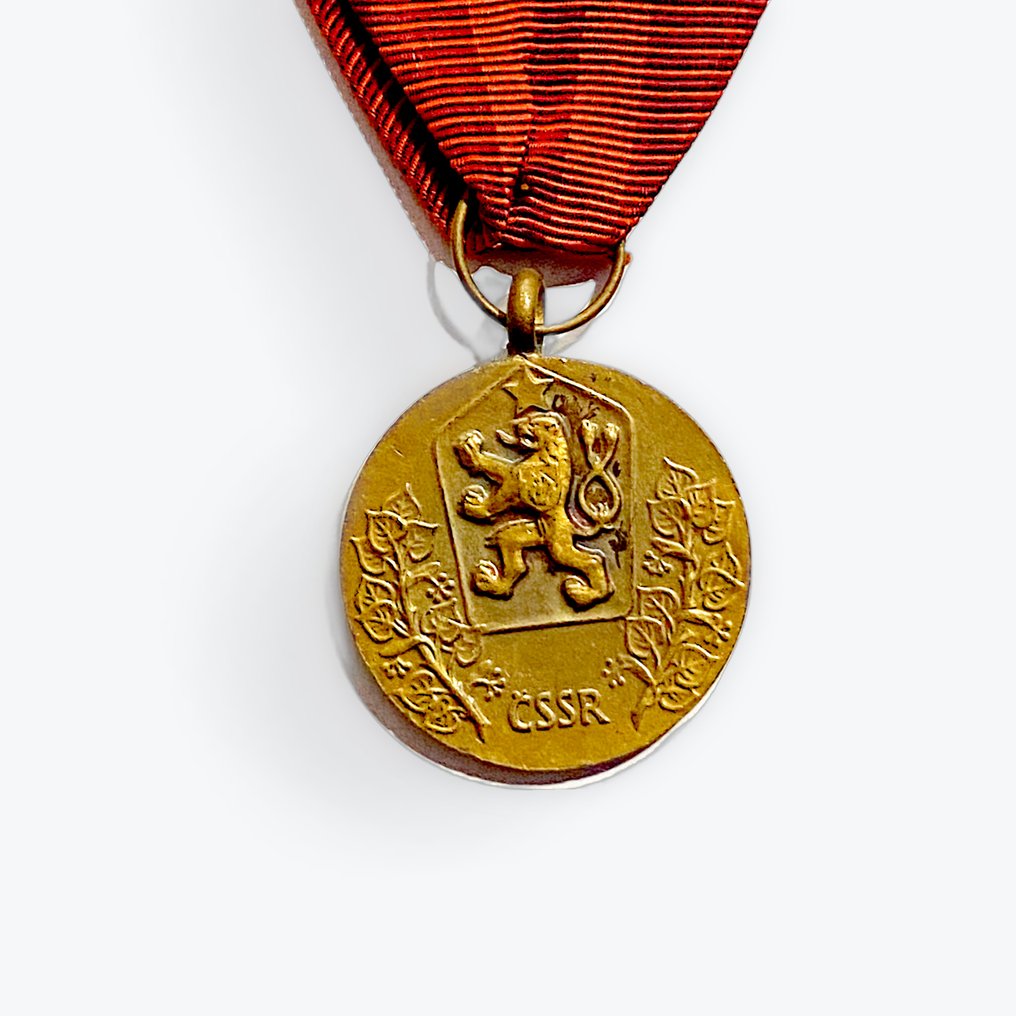 Τσεχοσλοβακία - Στρατιωτικό μετάλλιο - Μετάλλιο για τις υπηρεσίες προς την πατρίδα #2.1