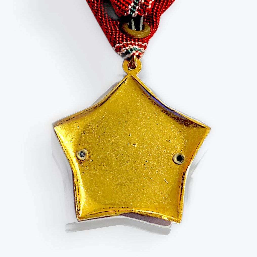 Ουγγαρία - Στρατιωτικό μετάλλιο - Μετάλλιο για εξαιρετική εργασία. #2.1