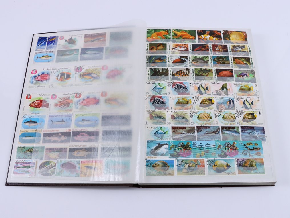 Κόσμος - Θέμα: συλλογή ψαριών σε 2 λευκώματα. #2.1