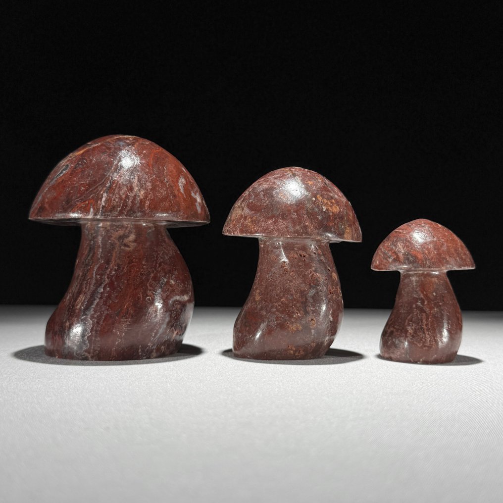 Inget utropspris - Underbart set med 3 Red Jasper Svampformad- 1300 g #2.1