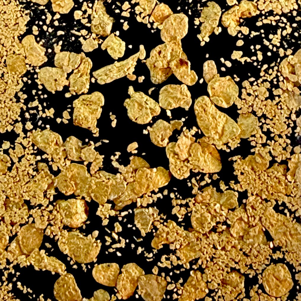 Elvo River Treasures, φυσικές χρυσές ράβδοι.- 0.95 g #1.0