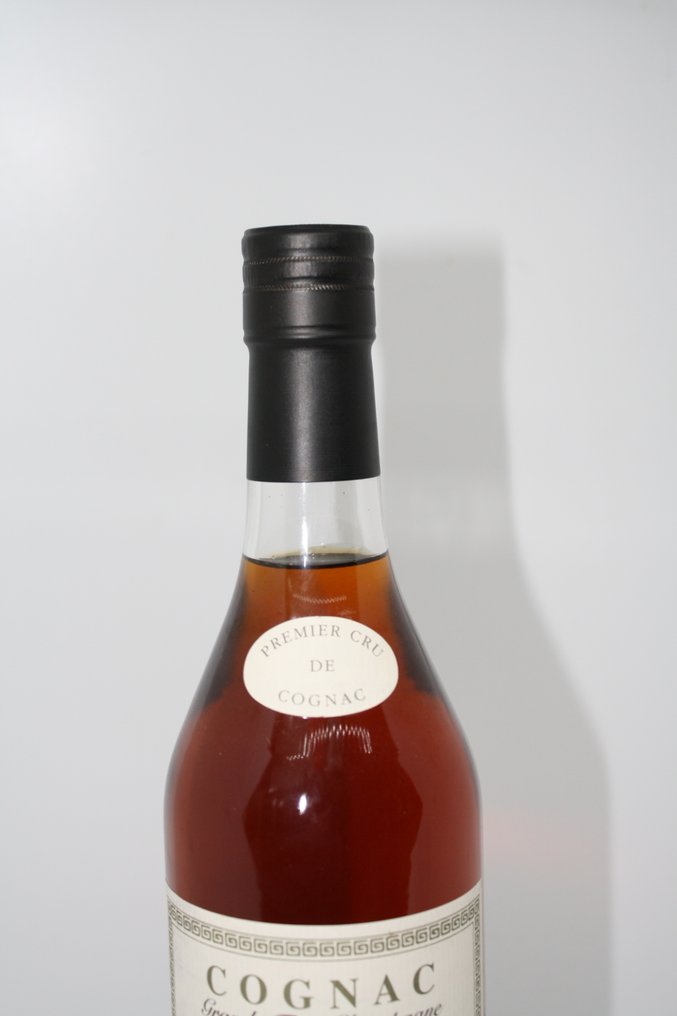 Navarre - Souvenir Impérial   - b. 2022  - 70厘升 #4.3