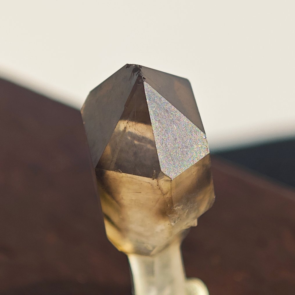 Cetro de quartzo fumê raro de 7,7 ct !- 1.54 g #2.1