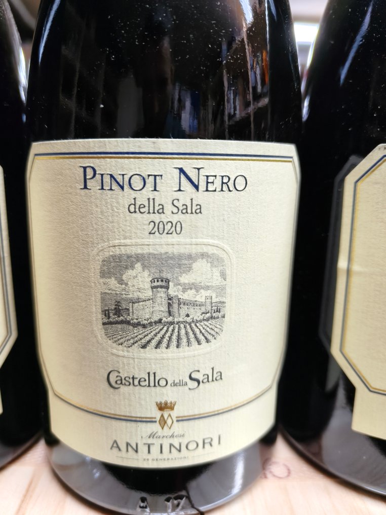 2020 Castello della Sala, Pinot Nero - Umbrien - 3 Flaskor (0,75L) #1.0