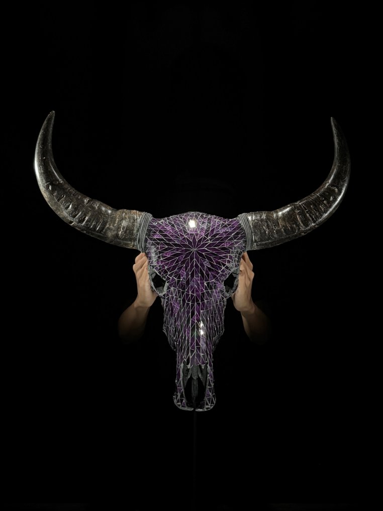 Χωρίς ελάχιστη τιμή - Εντυπωτικό κρανίο αγελάδας με επίχρισμα από ψηφιδωτό γυαλιού - Μωβ Κρανίο - Bos Taurus - 63 cm - 67 cm - 16 cm- Είδη που δεν ανήκουν στο CITES -  (1) #2.1