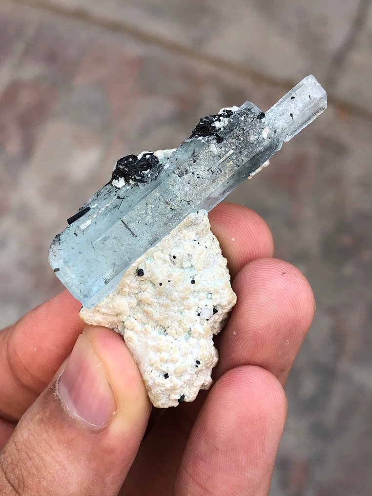 天然蓝色海蓝宝石终结水晶与黑碛石和长石结合 标本 - 高度: 50 mm - 宽度: 34 mm- 20 g - (1) #3.2