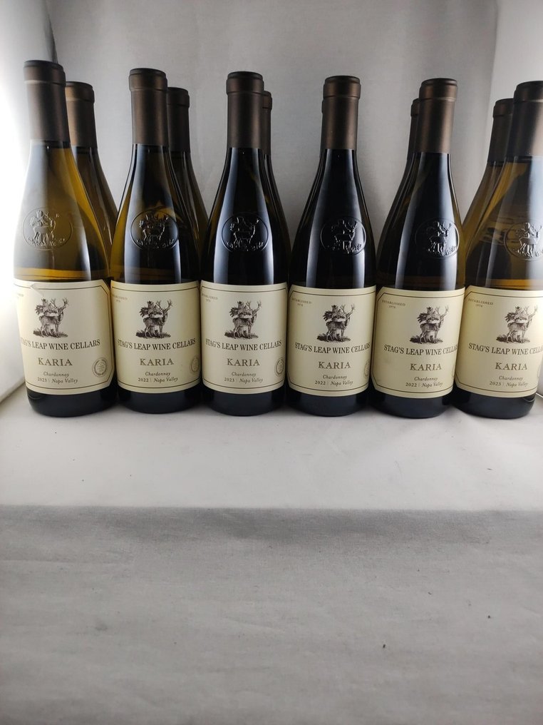 2023 Stag's Leap Karia Chardonnay - Κοιλάδα Νάπα - 12 Bottles (0.75L) #1.0