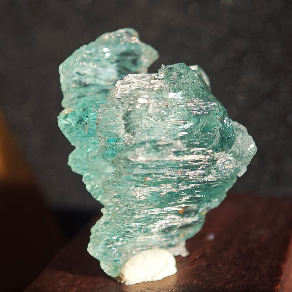 58,65 ct XL! AA+++ gejæstret stærk blå Aquamarine krystal- 11.73 g #2.1