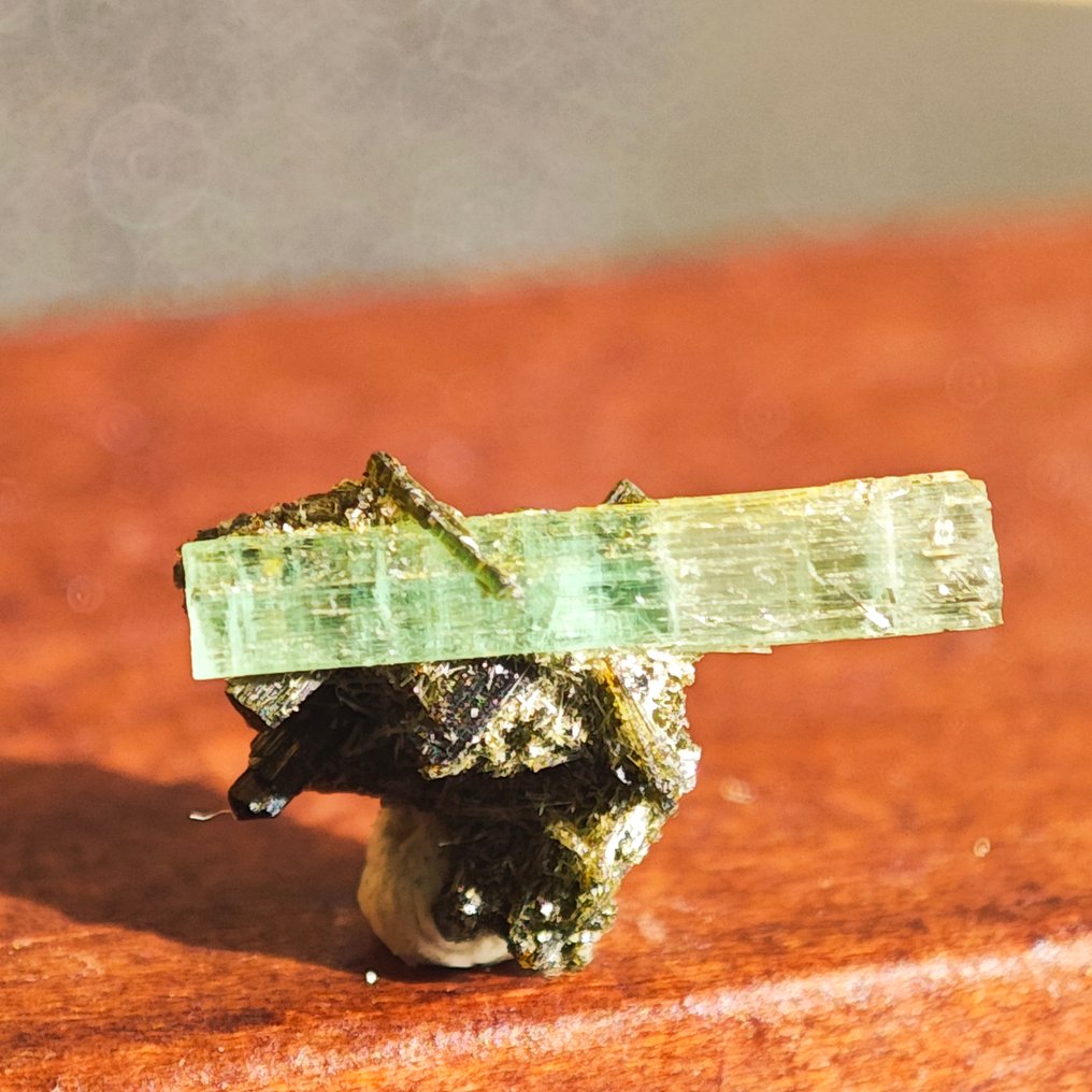 0.95 克拉 TOP DT 终切祖母绿 水晶在矩阵上！ - 高度: 11 mm - 宽度: 7.1 mm- 0.19 g #4.3