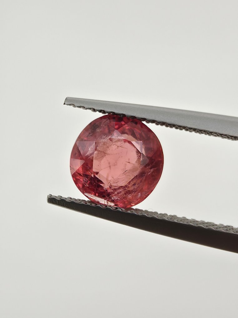 χωρίς τιμή ασφαλείας Πορτοκαλί, Ροζ Σπινέλιος - 2.30 ct - Antwerp Laboratory for Gemstone Testing (ALGT) #3.2