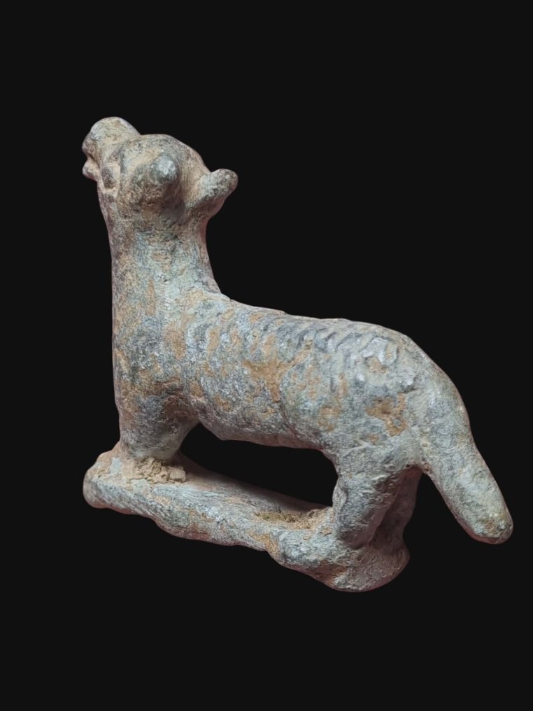 Αρχαία Ρωμαϊκή Μπρούντζος Εκθαμβωτικό Άγαλμα Σκύλου #3.2