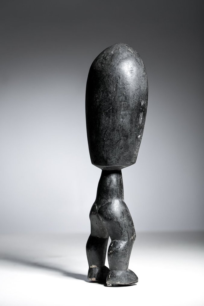 Wakemia-ske - Dan - Elfenbenskysten  (Ingen mindstepris) #2.1