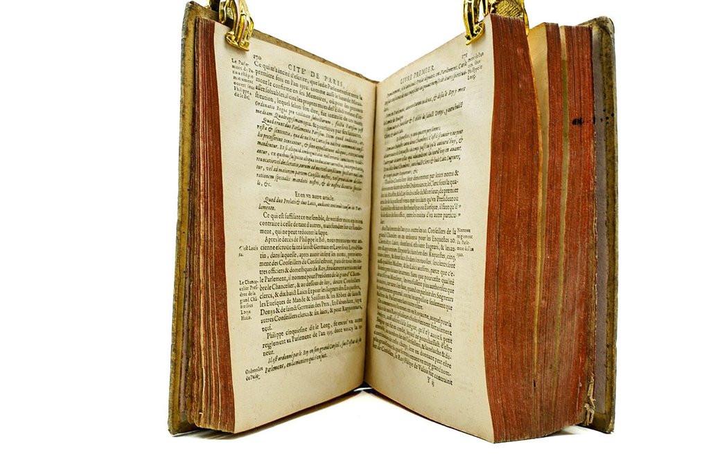 Jacques de Breul - Le théâtre des Antiquitez de Paris - 1612 #4.3