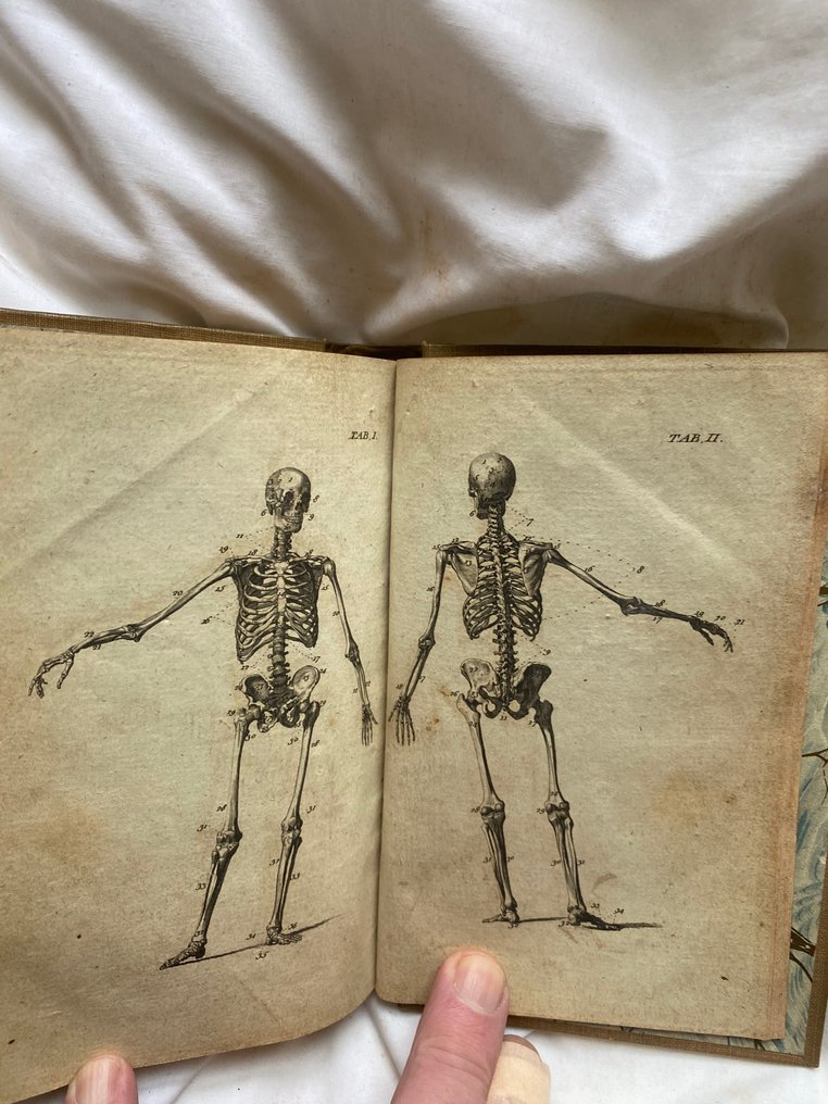 [James Handley] - Anatomical dialogues, or, A breviary of anatomy : wherein all parts of the human body are concisely - 1778 #1.0