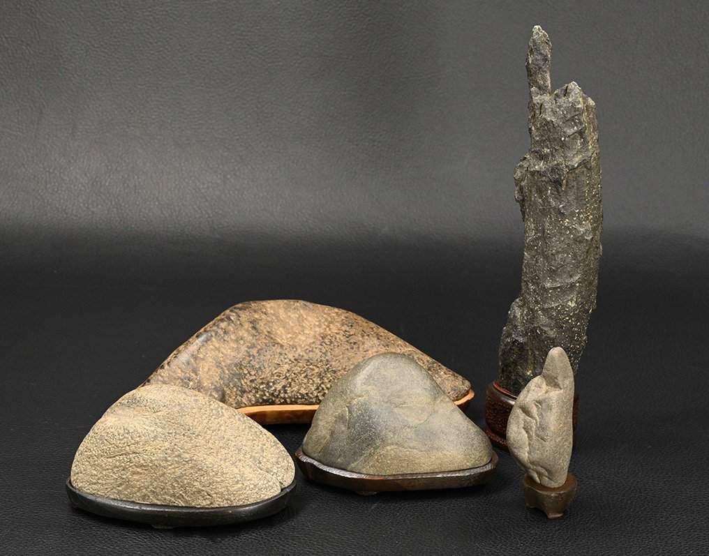 支架 - 石头, 非常精美的一套五块天然水石（文人石） - 日本  (没有保留价) #1.0