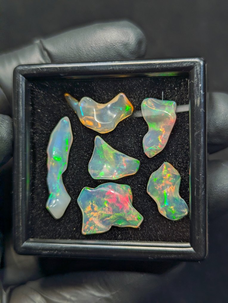 17.10 克拉 - AAA 级天然珍贵韦洛欧泊，抛光后展现强烈的色彩变化。 自由形式 - 高度: 26 mm - 宽度: 13 mm- 3.42 g - (6) #2.1