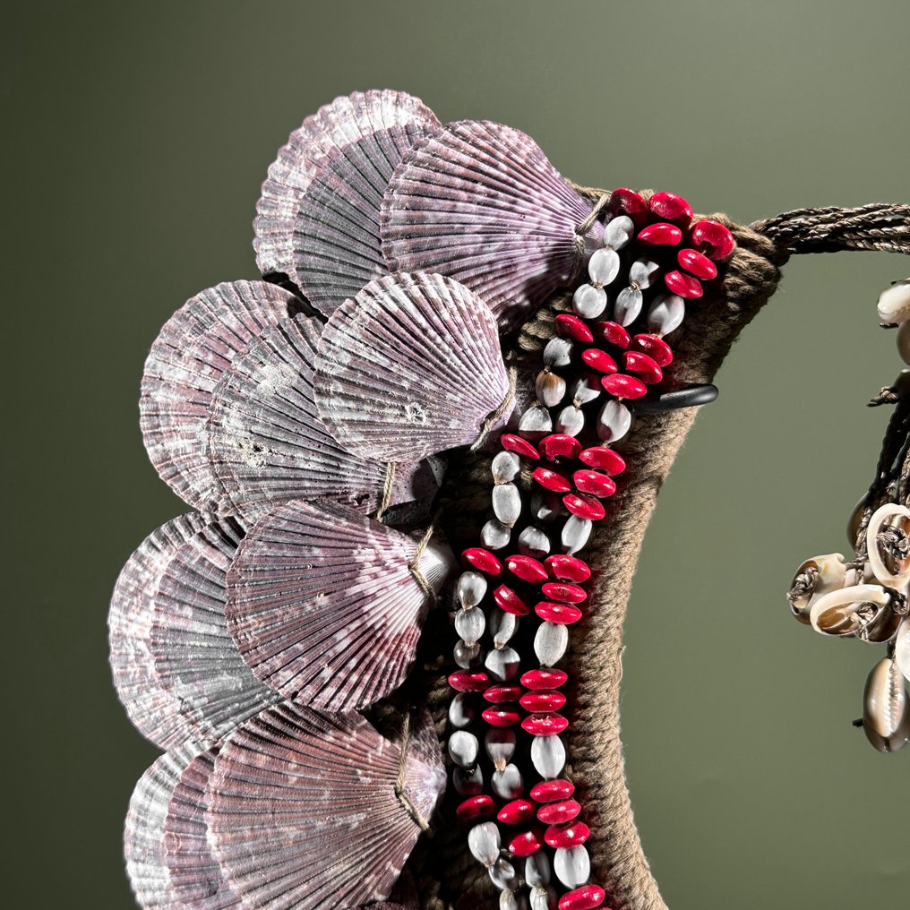 装饰饰品 - NO RESERVE PRICE - SN9 - Shell Necklace on a custom stand - Shells & Natural Fibres - 巴布亚新几内亚 #3.2