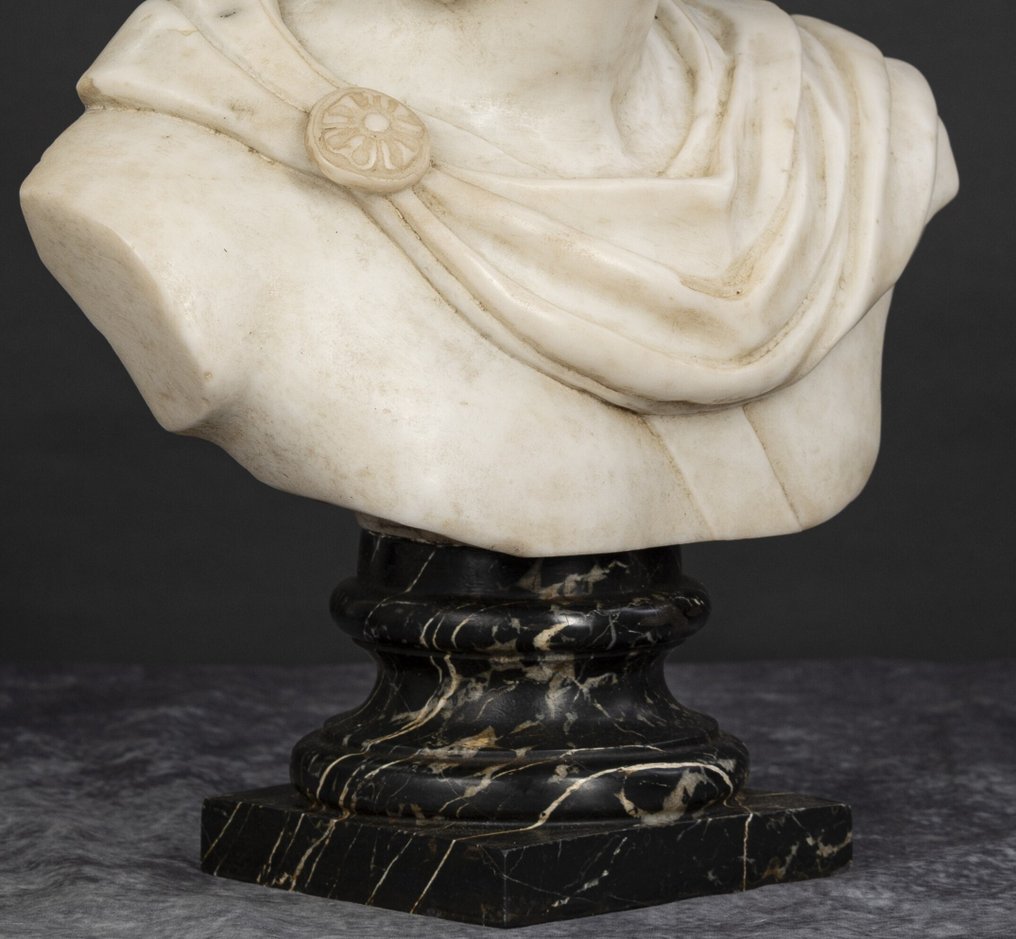Γλυπτό, Busto Apollo del  Belvedere - 45 cm - Λευκός μάρμαρος statuario #3.2
