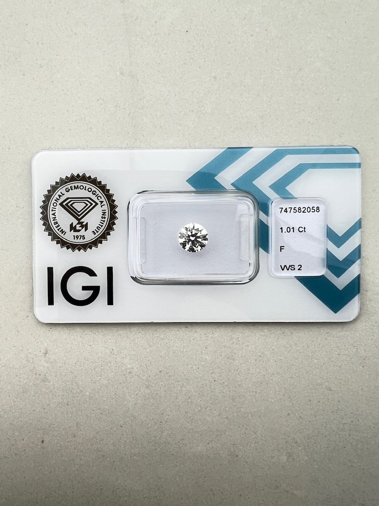 没有保留价 - 1 pcs 钻石  (天然)  - 1.01 ct - 圆形 - F - VVS2 极轻微内含二级 - 国际宝石研究院（IGI） #1.0