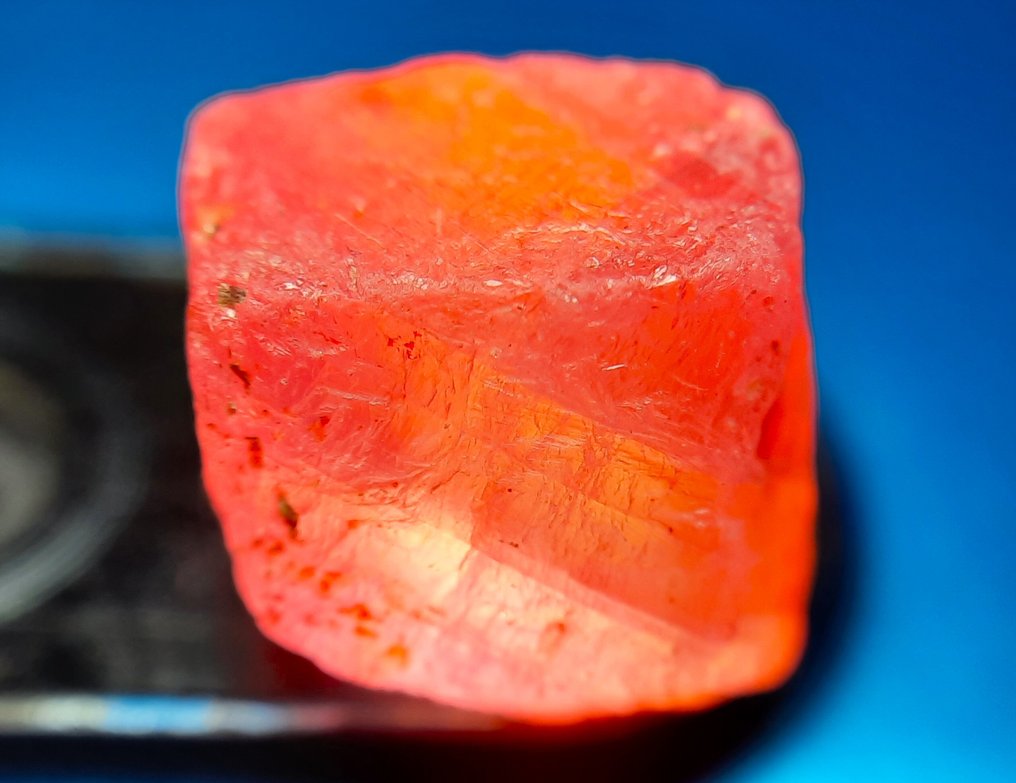 101 克拉 - 未处理的红宝石 粗糙- 20.2 g #2.1