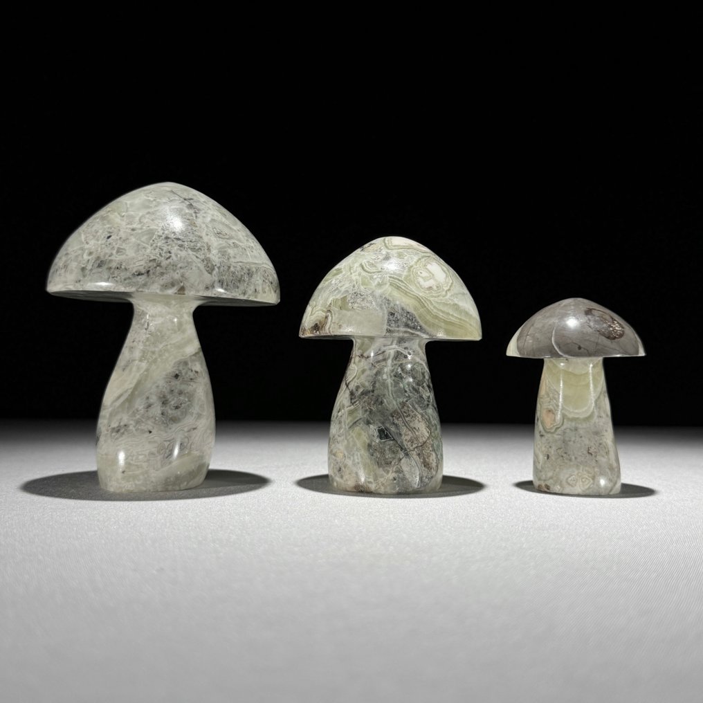 无底价 - 精彩的三件套缟玛瑙 蘑菇状- 1000 g - (3) #1.0