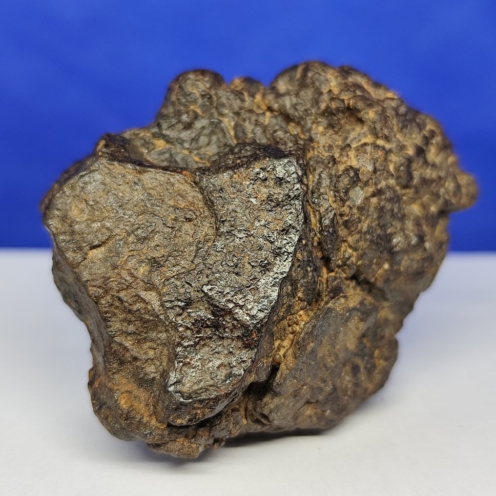 Mesosiderite meteorite. MDEÏNÉ 001 (Mauritania, 2021). Stony iron meteorite - XL - 105.6 g #3.2