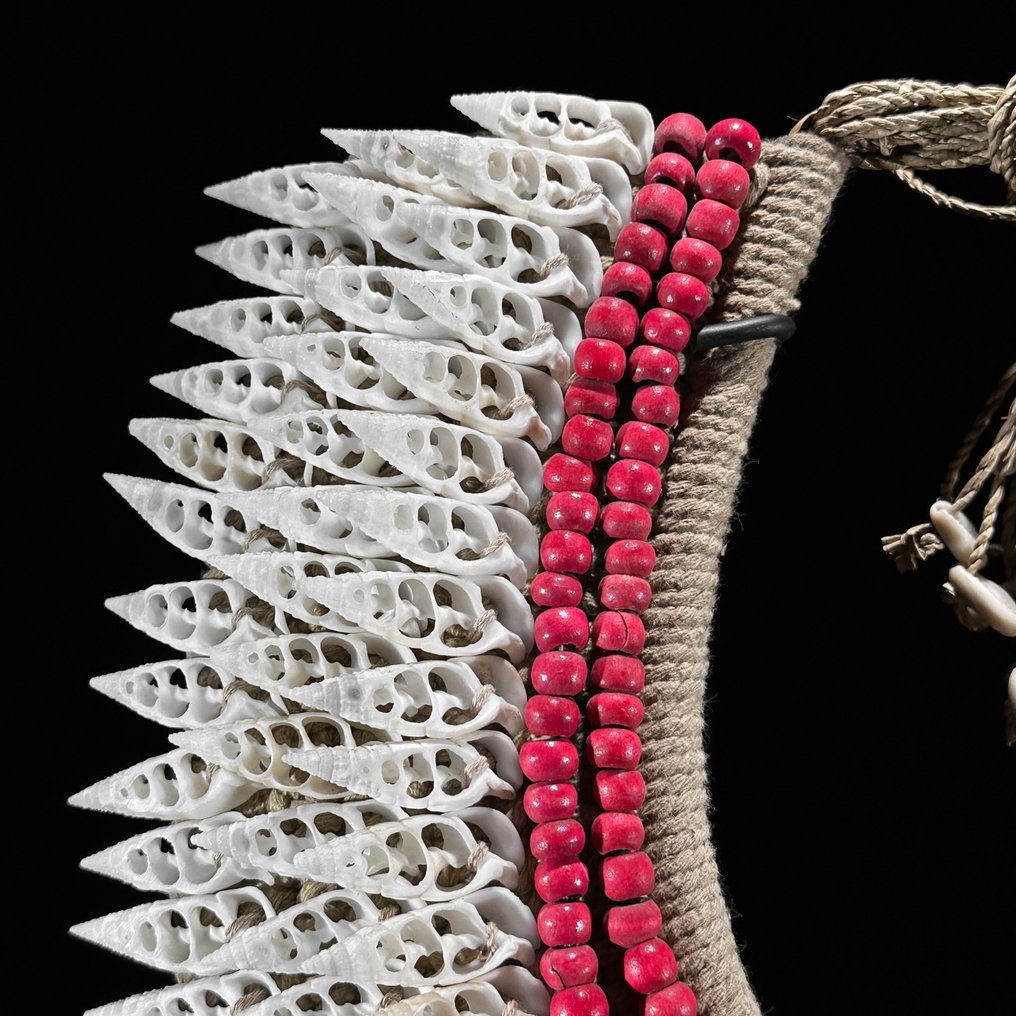 Διακοσμητικό στολίδι - NO RESERVE PRICE - SN7 - Decorative shell necklace on a custom stand - Παπούα Νέα Γουινέα #3.2
