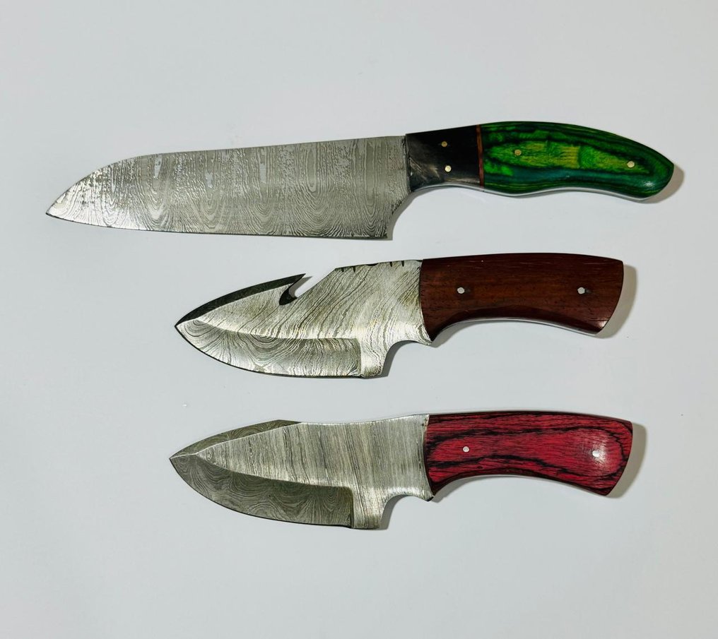 廚刀 -  厨房桌刀（0090） - 折叠钢和异国木材手柄 - 美國 - 厨房餐桌刀 #1.0