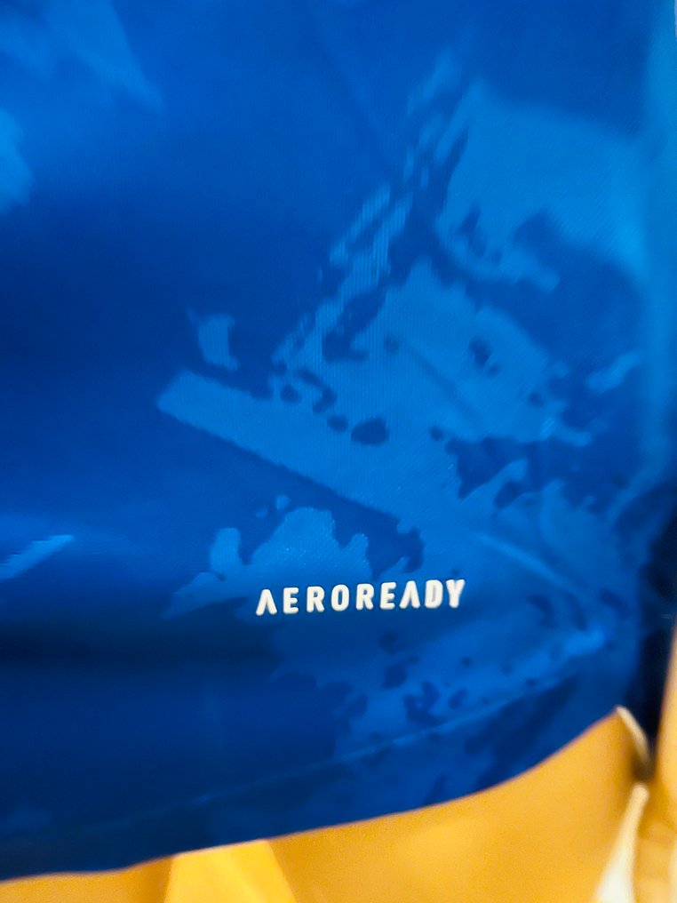 Bosnia and Herzegovina - Εθνικές Ομάδες Ποδοσφαίρου - 2020 - Φανέλα ποδοσφαίρου #4.3