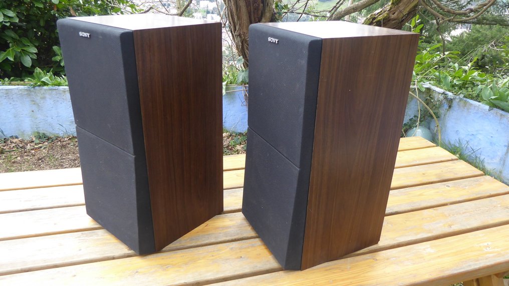 Sony - SS E-55 Set difuzor #1.0