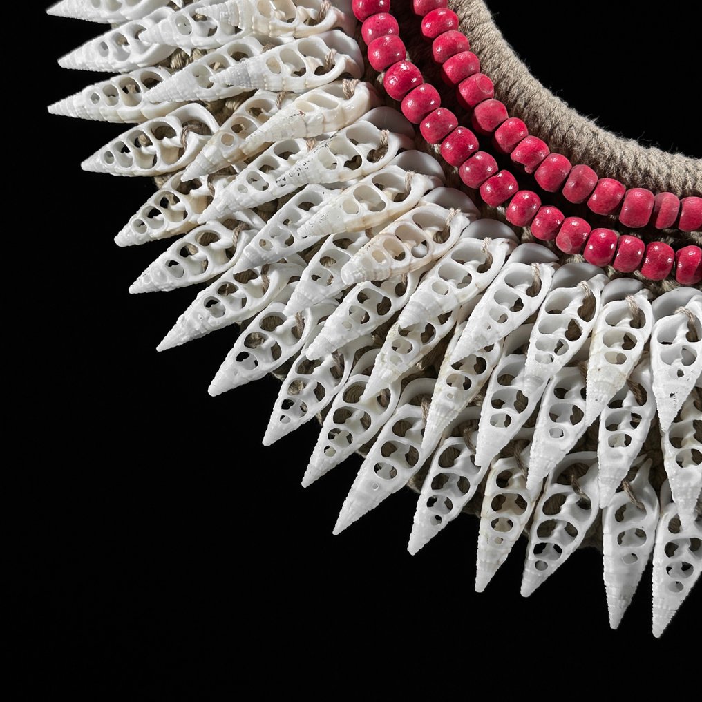 Διακοσμητικό στολίδι - NO RESERVE PRICE - SN7 - Decorative shell necklace on a custom stand - Παπούα Νέα Γουινέα #4.3