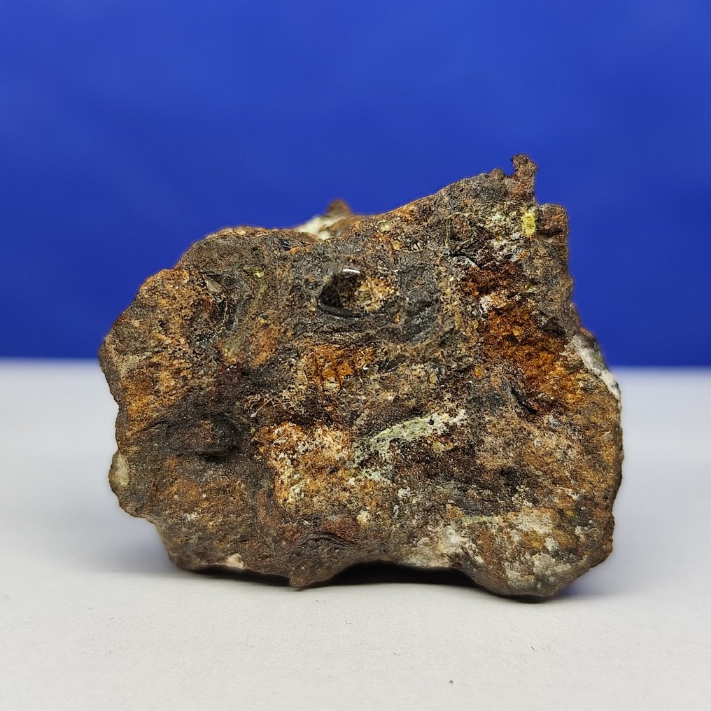 Πάλλασιτ Μετεωρίτης. SERICHO (Κένυα, 2016) Ωραίο κομμάτι, με ελιές στην επιφάνεια. - 33.2 g #4.3