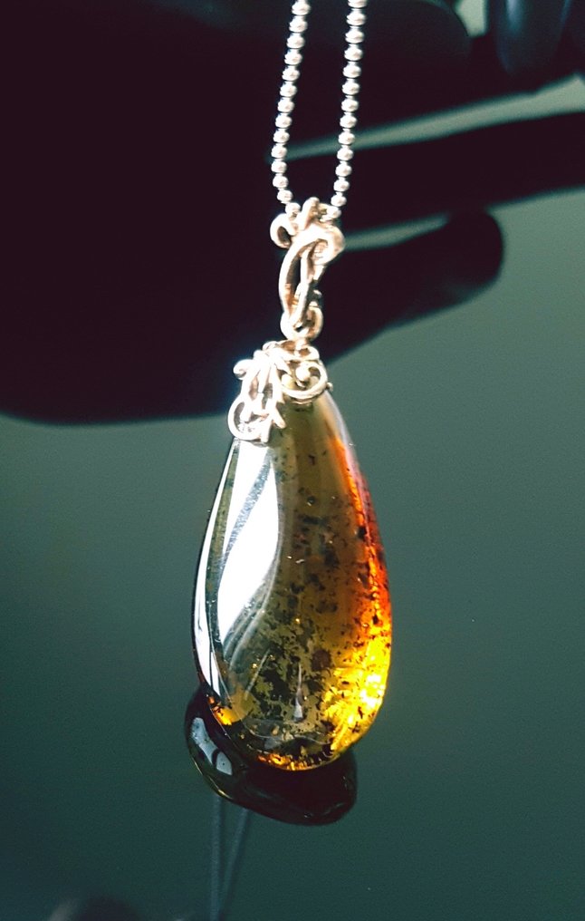 Amber Natuurlijk Baltisch amberhanger- 6 g #4.3