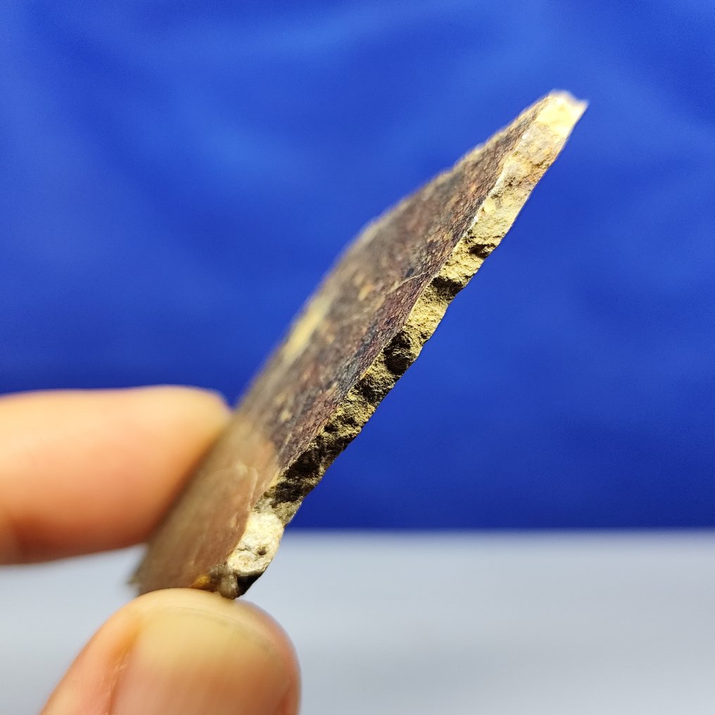 6,7 cm, –Hunderte von Chondren! – Erstaunlicher TYPE LL3 CHONDRITE METEORIT. NWA 17369 (neue Klassifikation) - 14.2 g #4.3