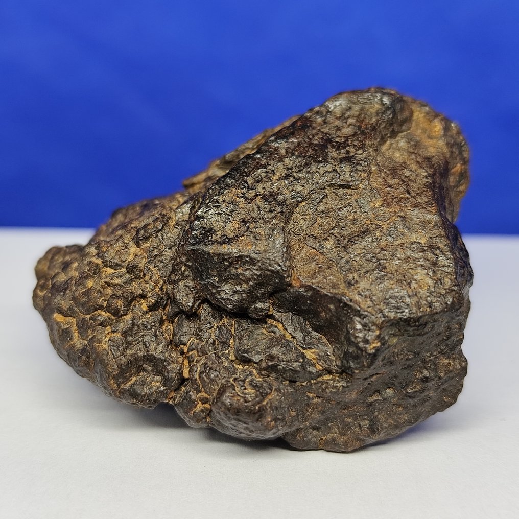 Mesosiderite meteorite. MDEÏNÉ 001 (Mauritania, 2021). Stony iron meteorite - XL - 105.6 g #4.3
