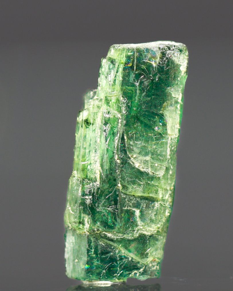 独特的棱彩成长,翡翠色Indicolite碧玺 自然级别 • 3.10 克拉 - 高度: 16 mm - 闊度: 7 mm- 0.62 g - (1) #3.2