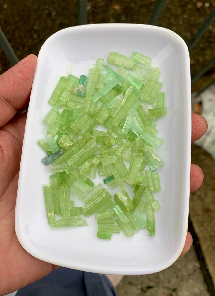 无底价电气石水晶批发，自然绿色，适合珠宝制造商，250克拉 水晶- 50 g - (1) #4.3